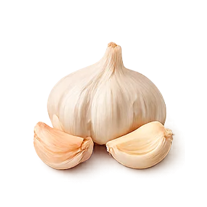 Hipernorme — Ajo en polvo (Allium sativum)